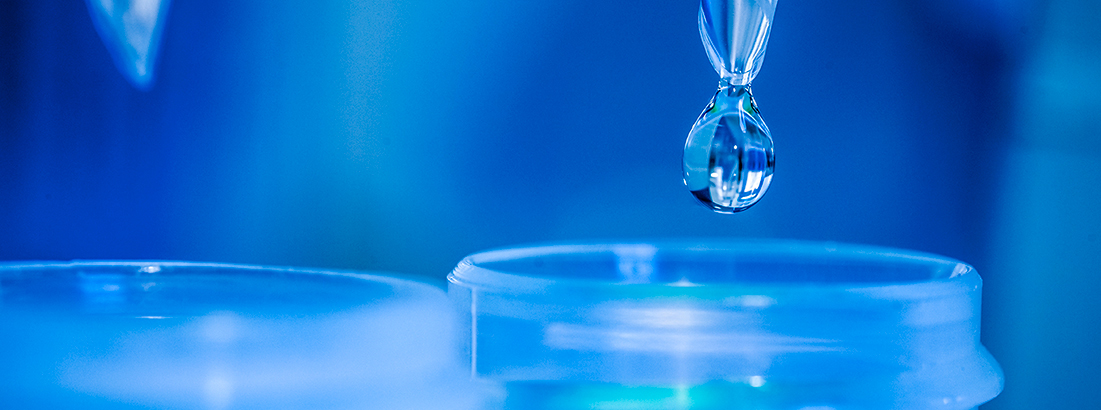 CPD researcher analysing protein design