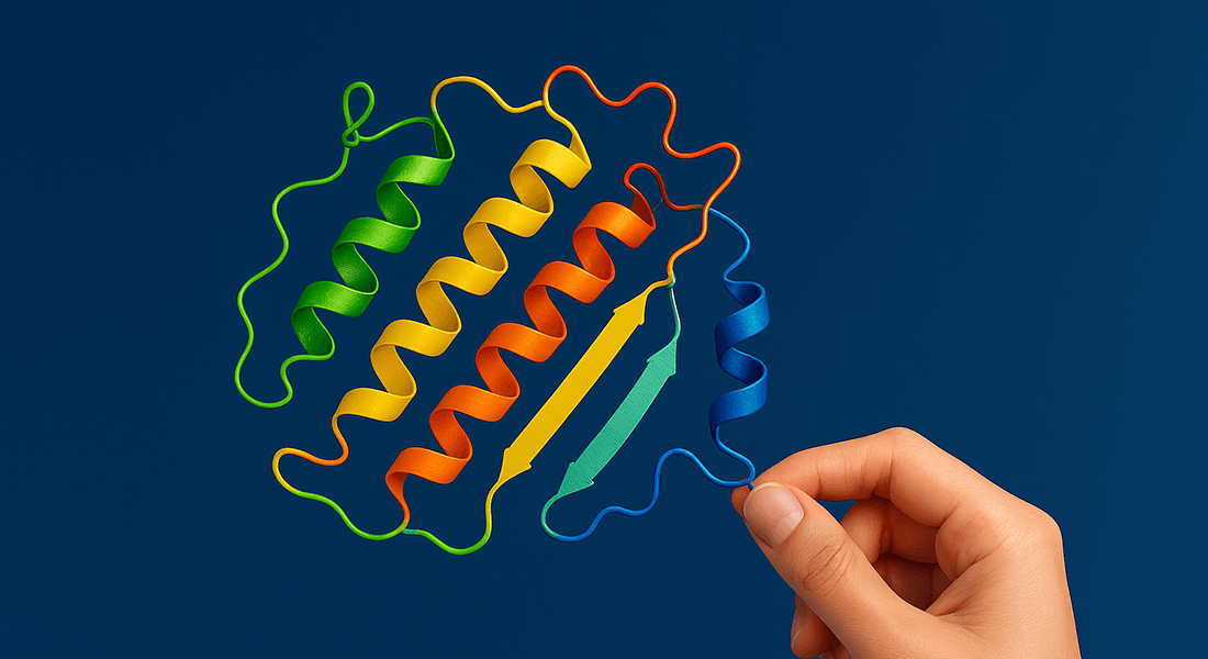Center for Protein Design (CPD) and the University of Copenhagen (UCPH) 
